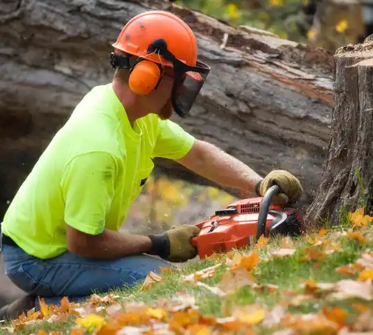 tree services Ellenville